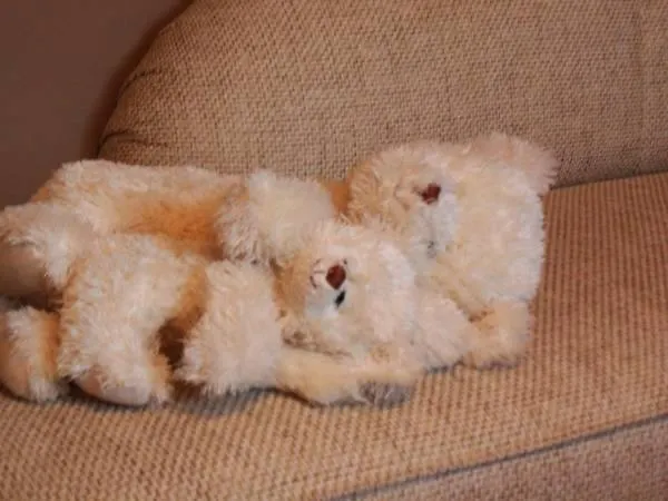 Appartement Exklusive Familienappartments Zugspitze